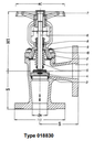bellow sealed globe valves, PN 40/DN40 straight type or angle type