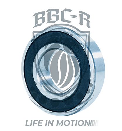 METRIC BALL BEARING,6009-2RS EU BBC-R