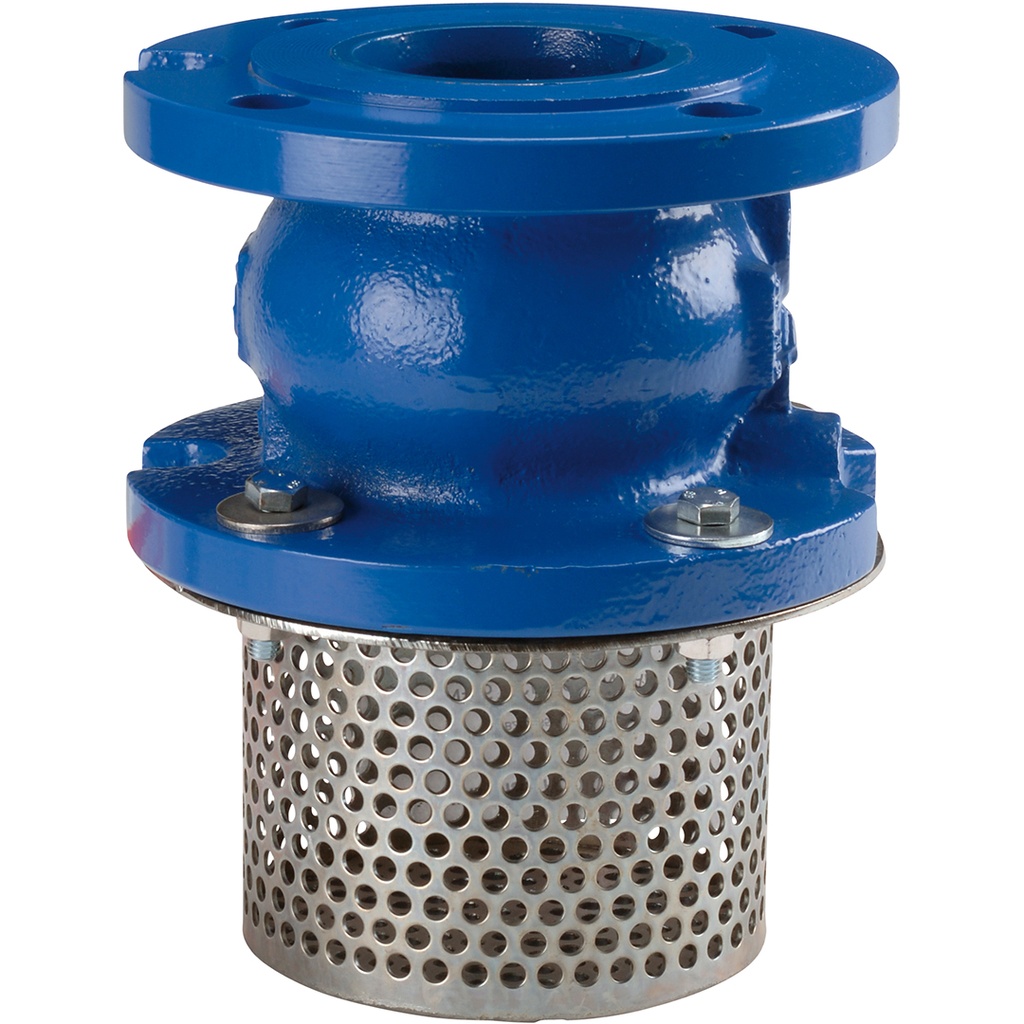 FOOT VALVE 363 PN16 DN50 Check V.366 +Carbon st. strainer basket  