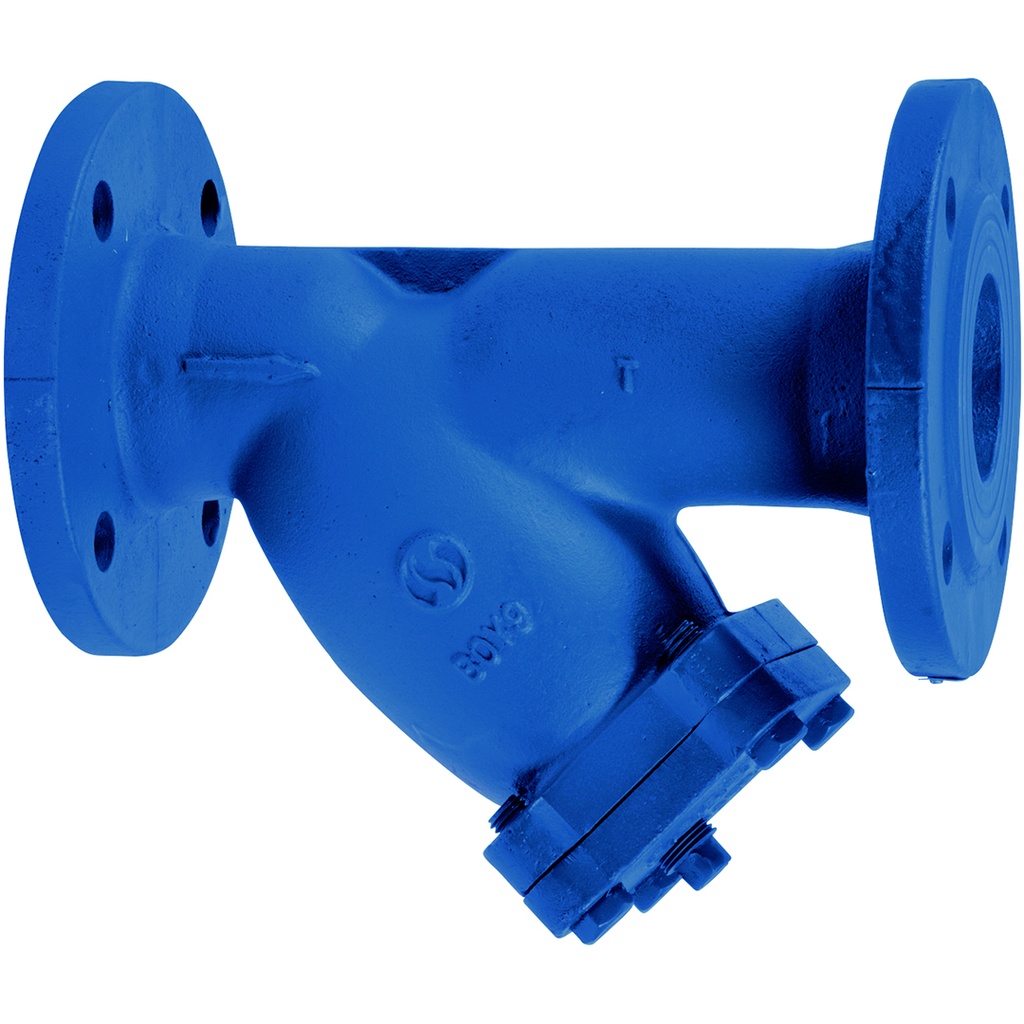 CAST IRON Y-STRAINER 221 PN16 DN150 SILICONE ACRYLIC COATED / F304 SCREEN  